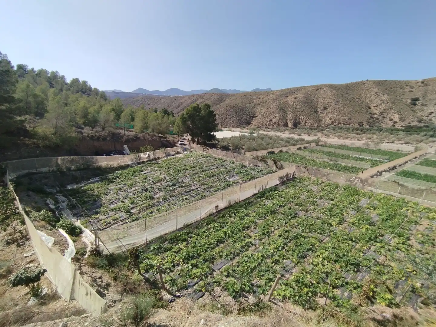 Terreno rustico in vendita a Santa Fe de Mondújar, imagen 12