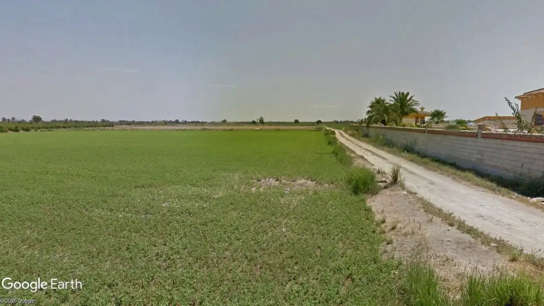 Terreno rustico in vendita a Catral