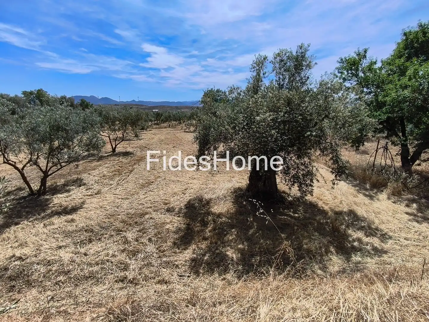Rural land for sale in XFJ3+526 Nigüelas 0, imagen 12