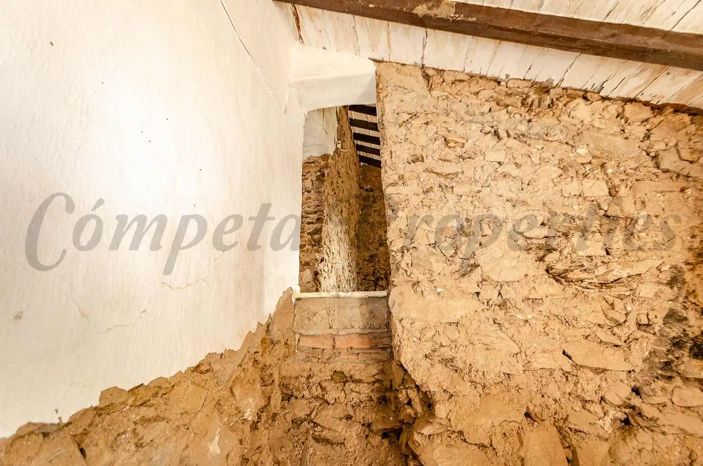 Country house with garden for sale in Cómpeta, imagen 18