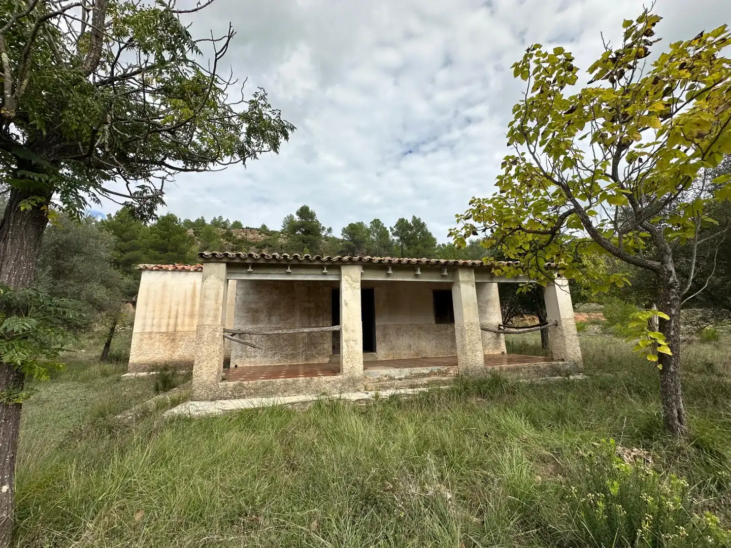 Vista exterior de Finca rústica en venta en Enguera