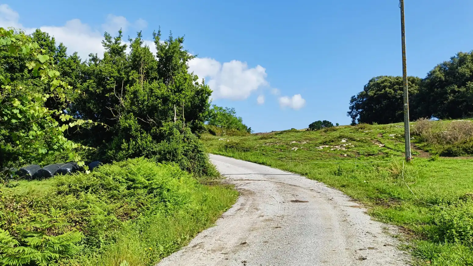 Terreni e lotti in vendita a Gajano - CARRETERA 141, GAJANO, imagen 12