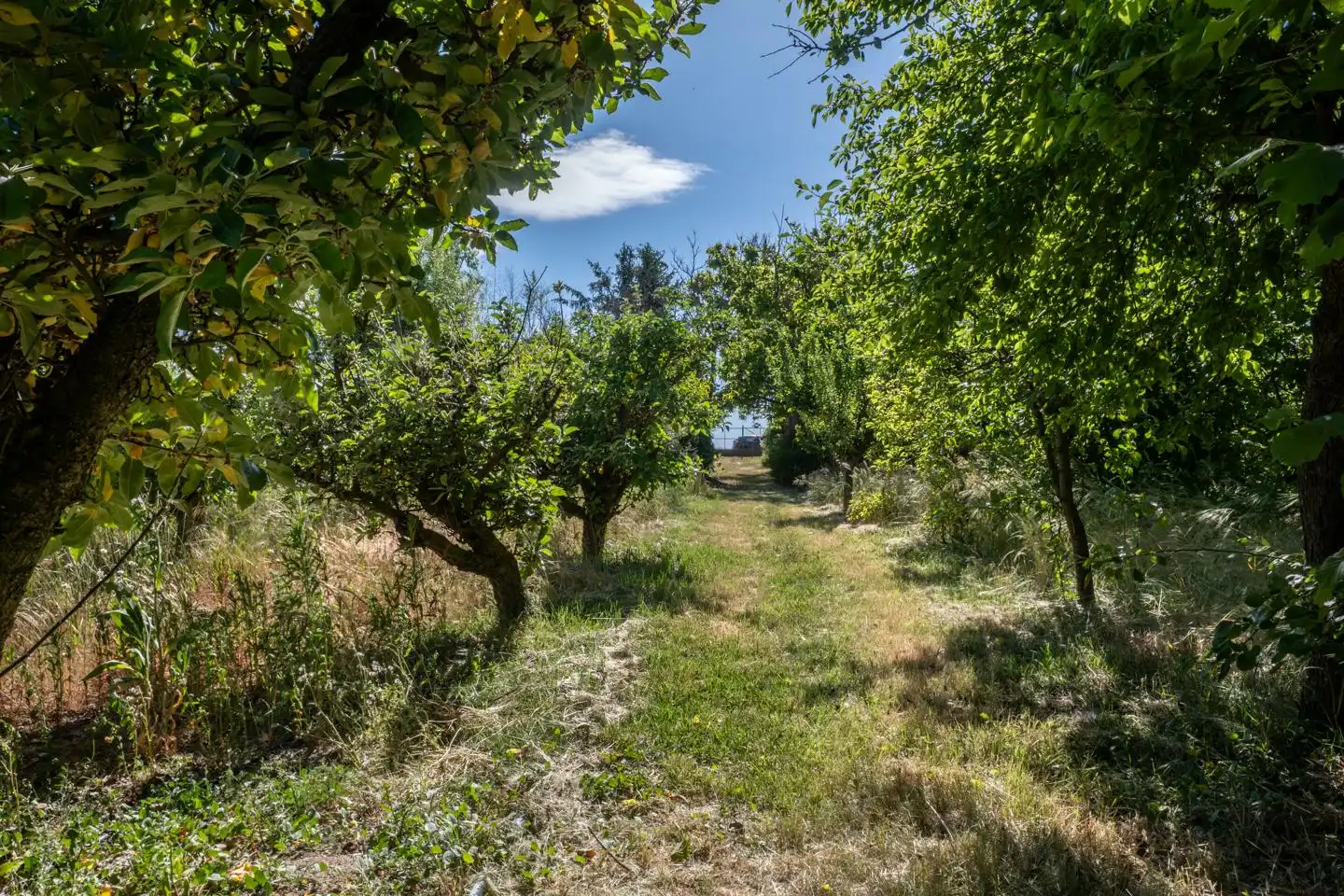 Country homes for sale in Gemuño  with Private garden, Terrace and Swimming Pool