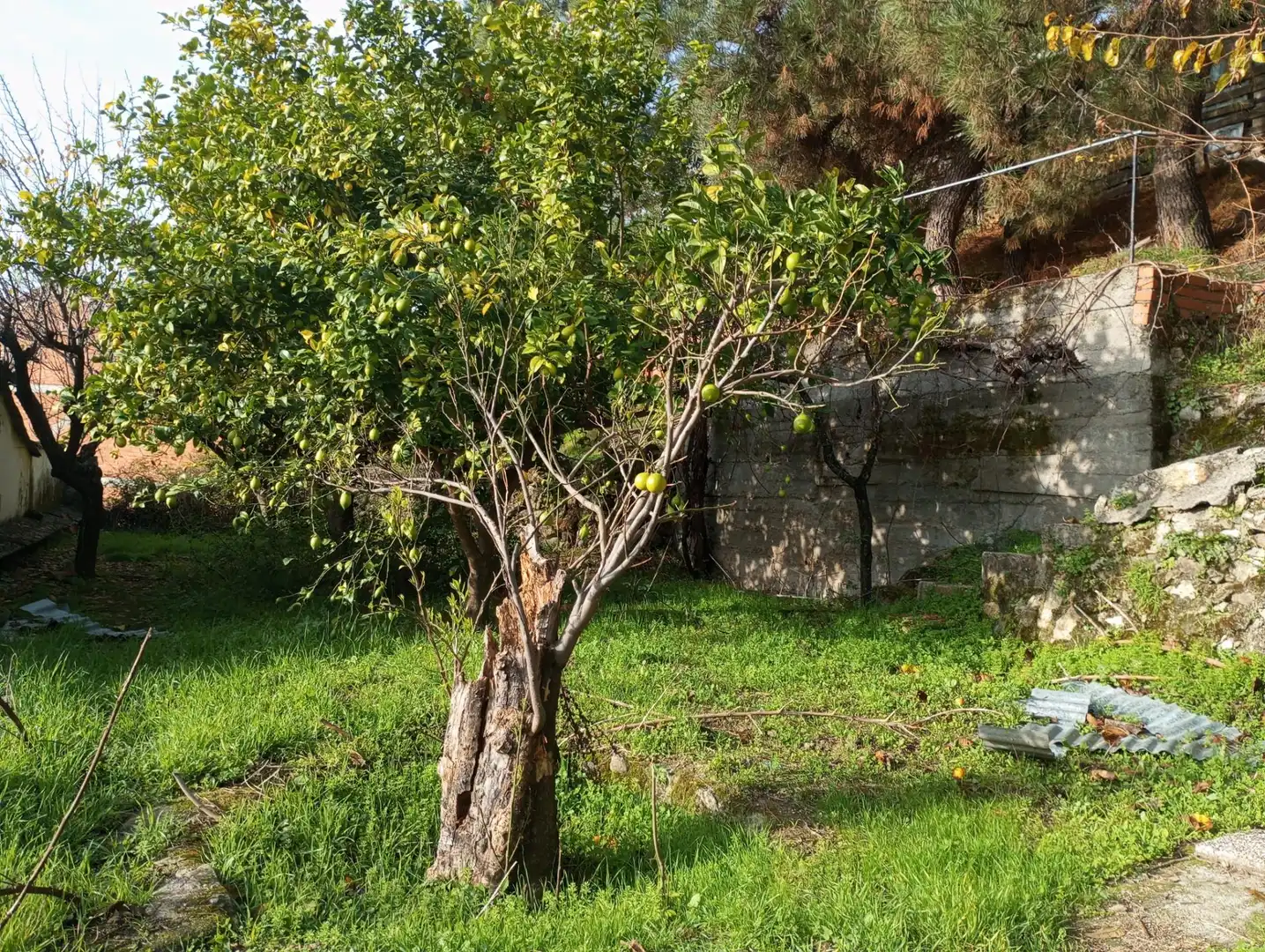 Terreni e lotti in vendita a Candeleda, imagen 13