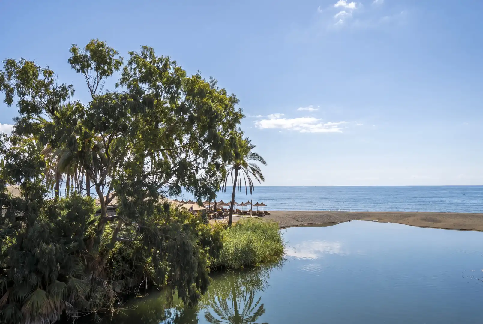 Garden of Apartments for rent in Marbella  with Air Conditioner, Swimming Pool and Furnished