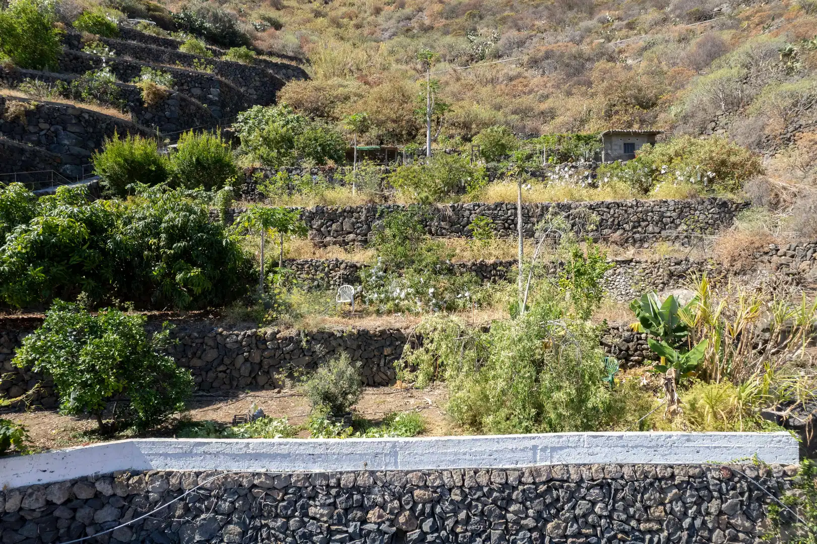 Jardín de Casa o chalet en venta en San Juan de la Rambla con Jardín privado, Terraza y Trastero
