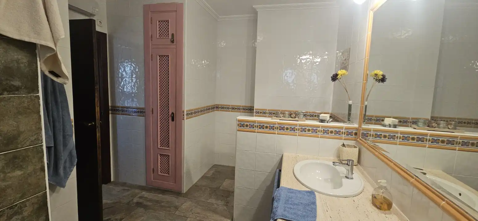 Baño de Casa o chalet en venta en Molina de Segura con Trastero