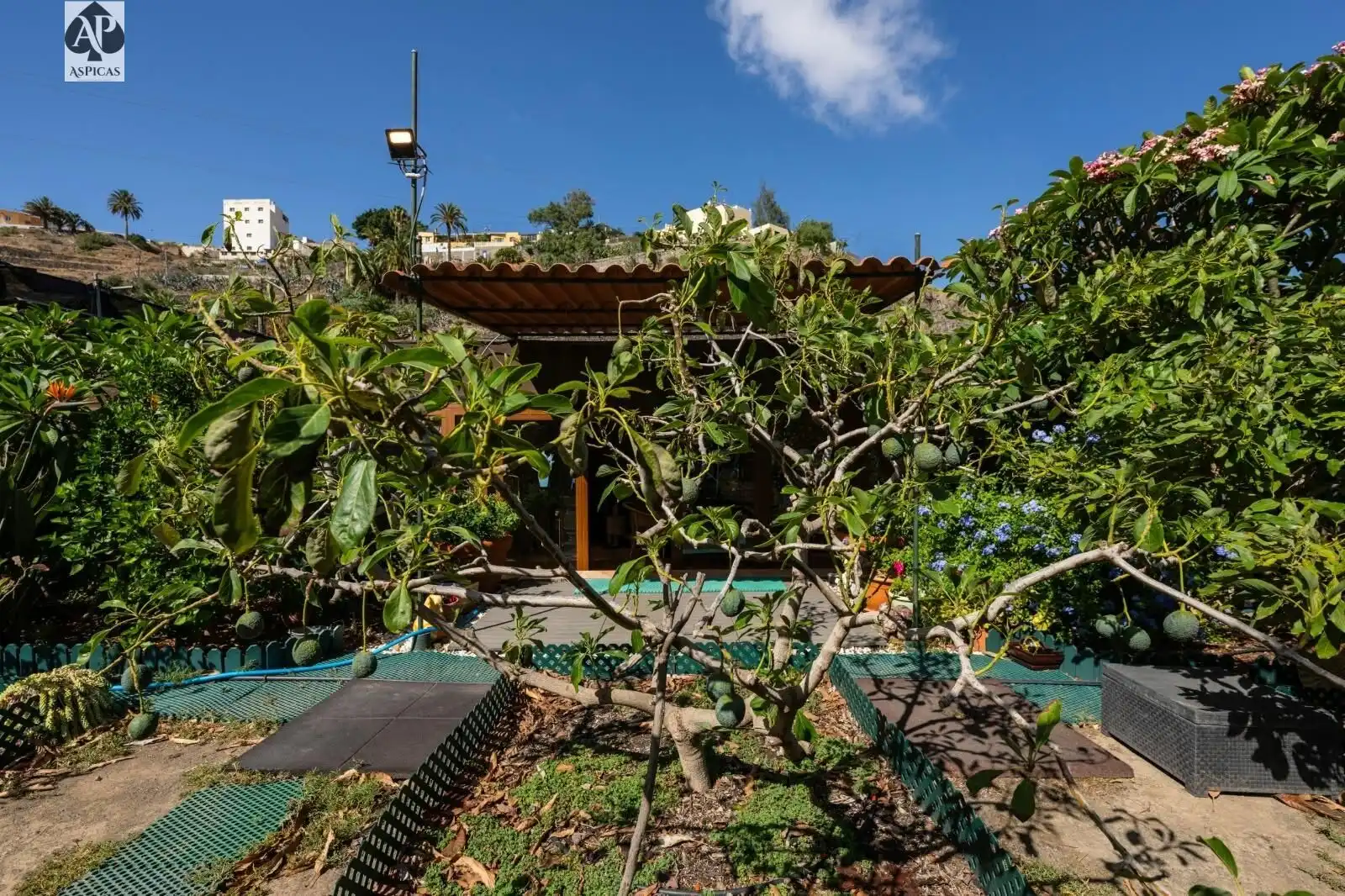 Vista exterior de Finca rústica en venta en Telde con Jardín privado, Terraza y Trastero
