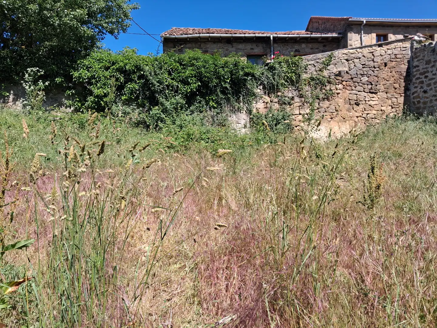 Terreni e lotti in vendita a Diseminado Diseminados Q Hr 16, imagen 9