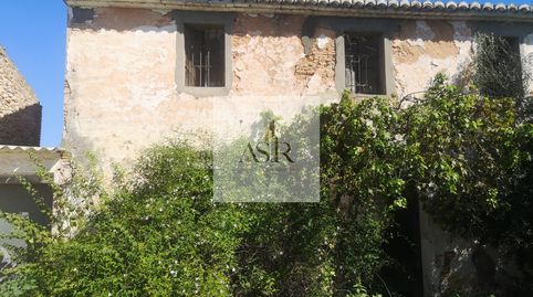 FINCA RUSTICA EN LA PEDRERA DE CARCAIXENT, immagine 3