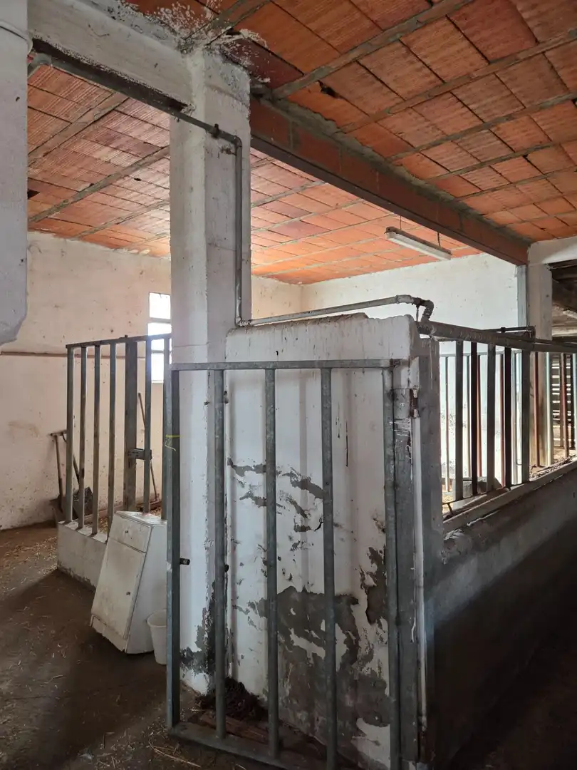Nau industrial en venda en San Andrés del Rabanedo