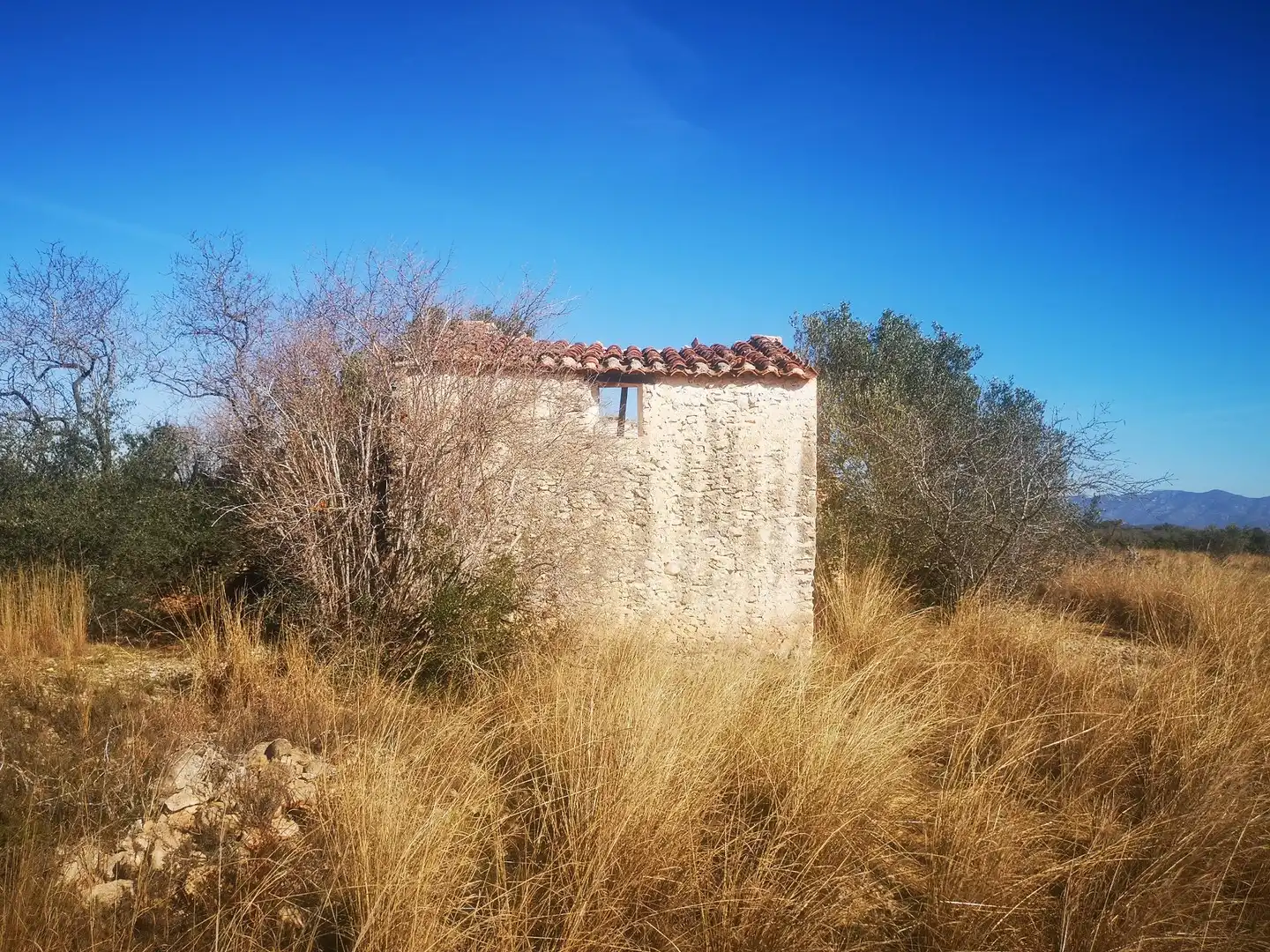 Terreno rustico in vendita a Traiguera, imagen 13