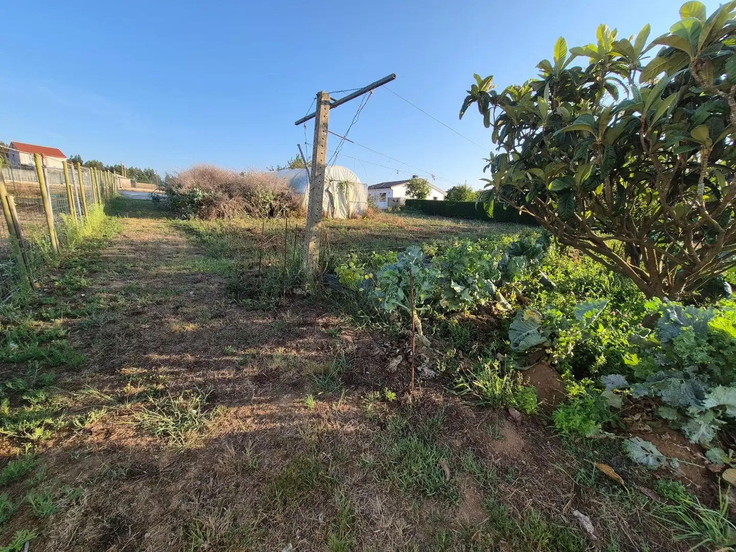 Terreni e lotti in vendita a A Laracha, imagen 11