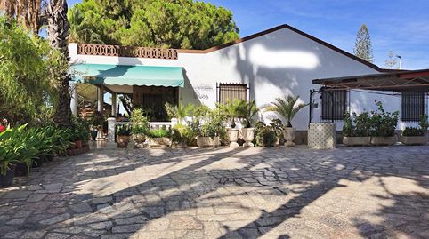 Foto 3 de Casa o xalet en venda a Peña de las Águilas, Elche / Elx
