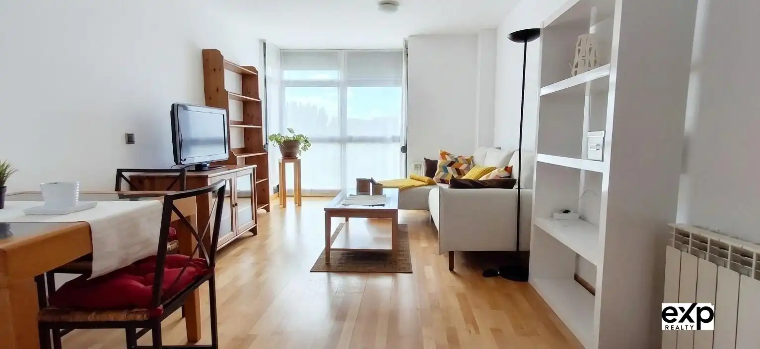 Living room of Apartments for rent in Madrid  with Air Conditioner, Heating and Private garden