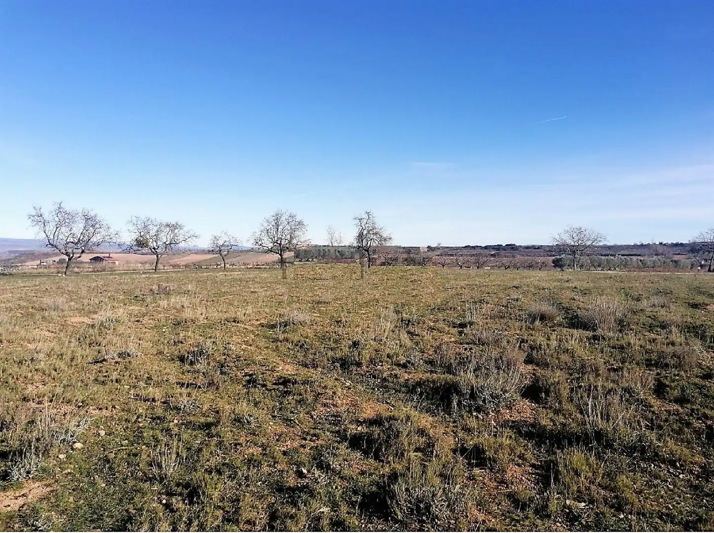 Terrain rustique à vendre à Clavijo, imagen 2
