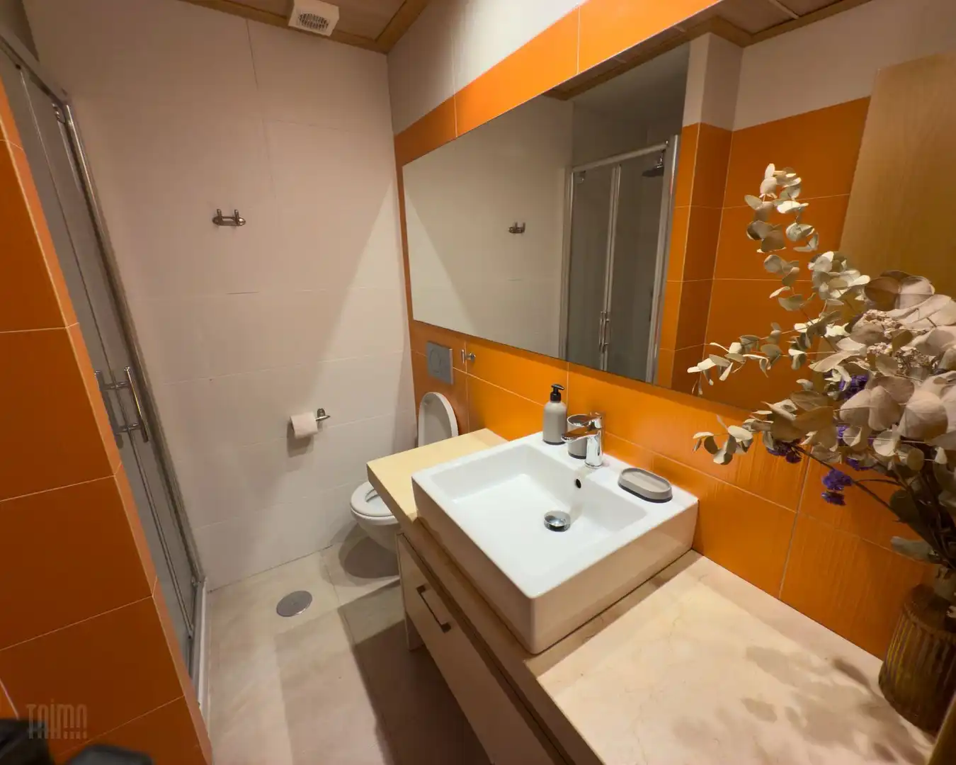Bathroom of Buildings for sale in Alicante / Alacant
