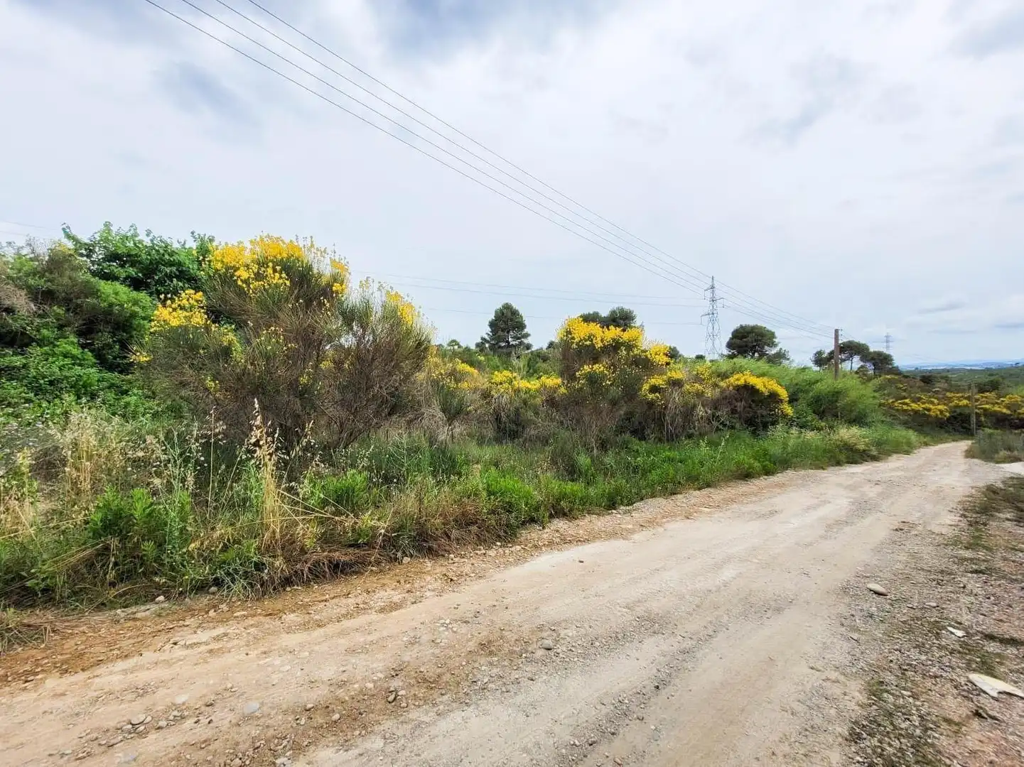 Terreno rústico en venta en Castellbisbal, imagen 9