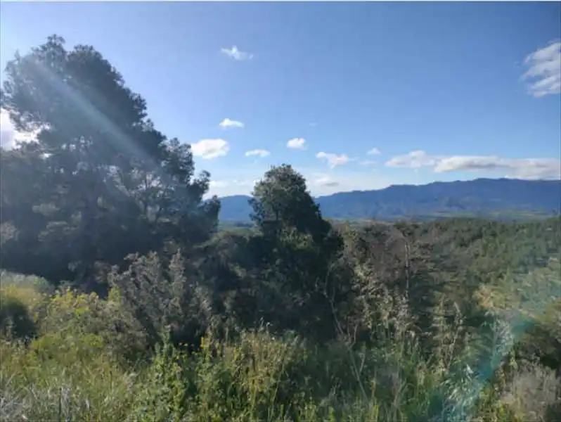 Residential for sale in Bot