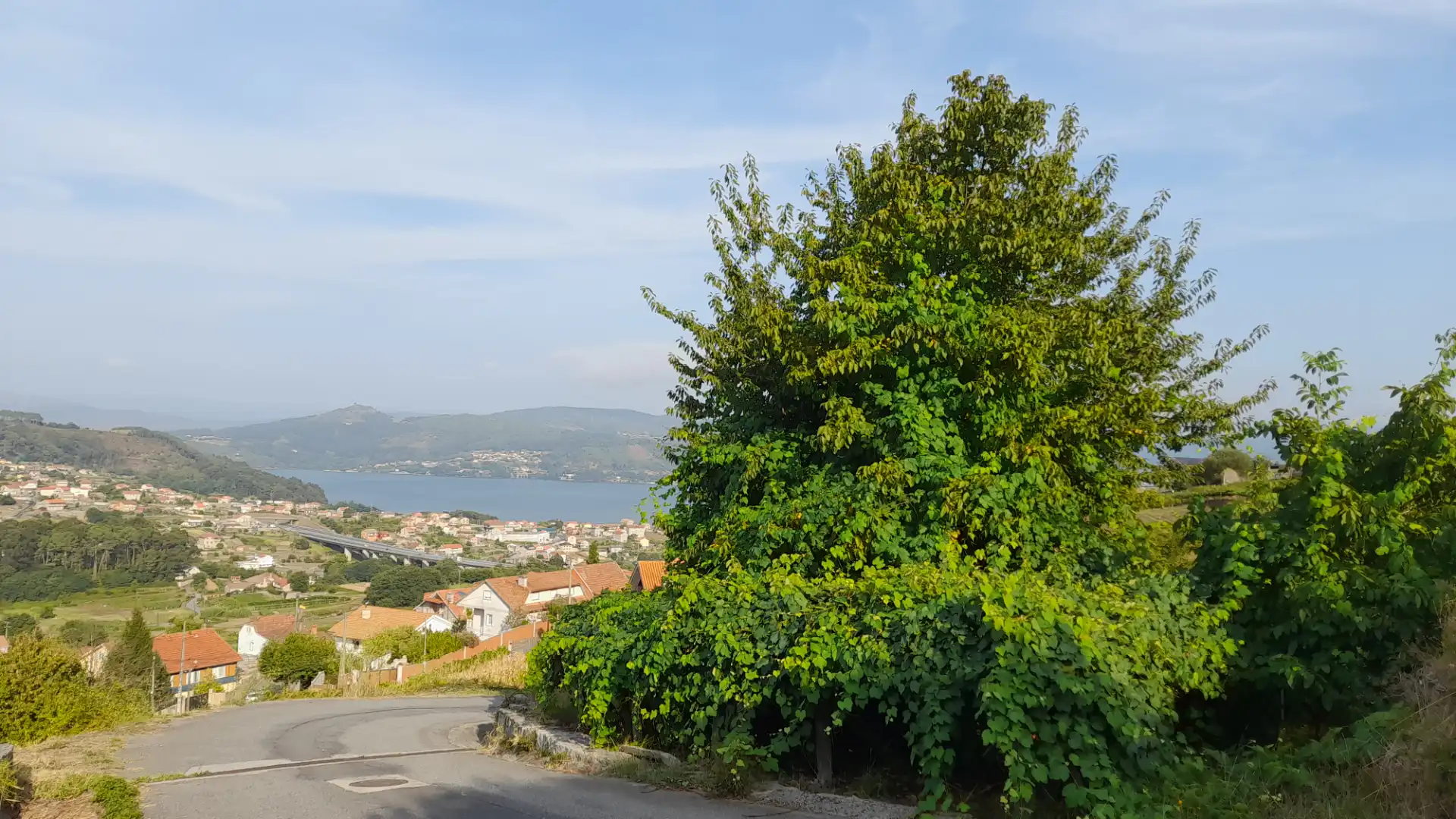 Terreno rustico in vendita a N-554 15, imagen 3