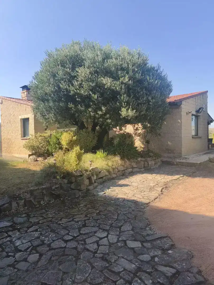 Jardín de Finca rústica en venta en Andosilla con Aire acondicionado, Jardín privado y Trastero
