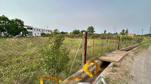 Photo 3 of Land for sale in Camino Polígono 45 Parcela 168 Catalana. Castello , 45, El Grao, Castellón