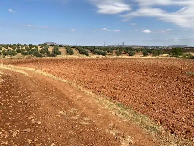 Terreny rústic en venda a Sonseca, imagen 3