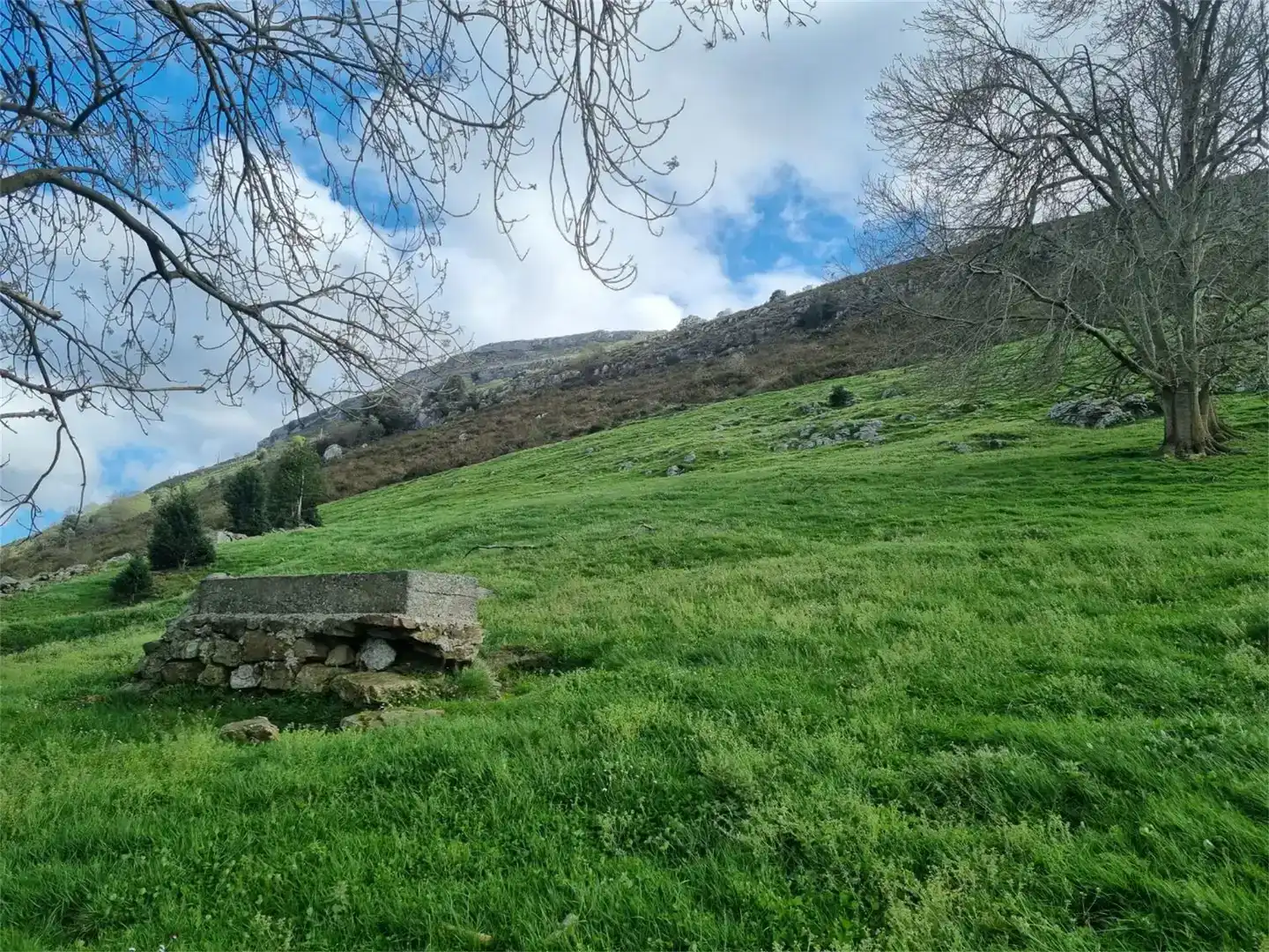 Finca rústica en venda en Ruesga