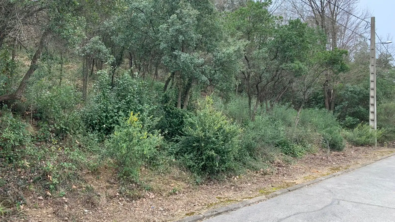 Wohnbaugrundstück zum Verkauf in Riells i Viabrea, imagen 3