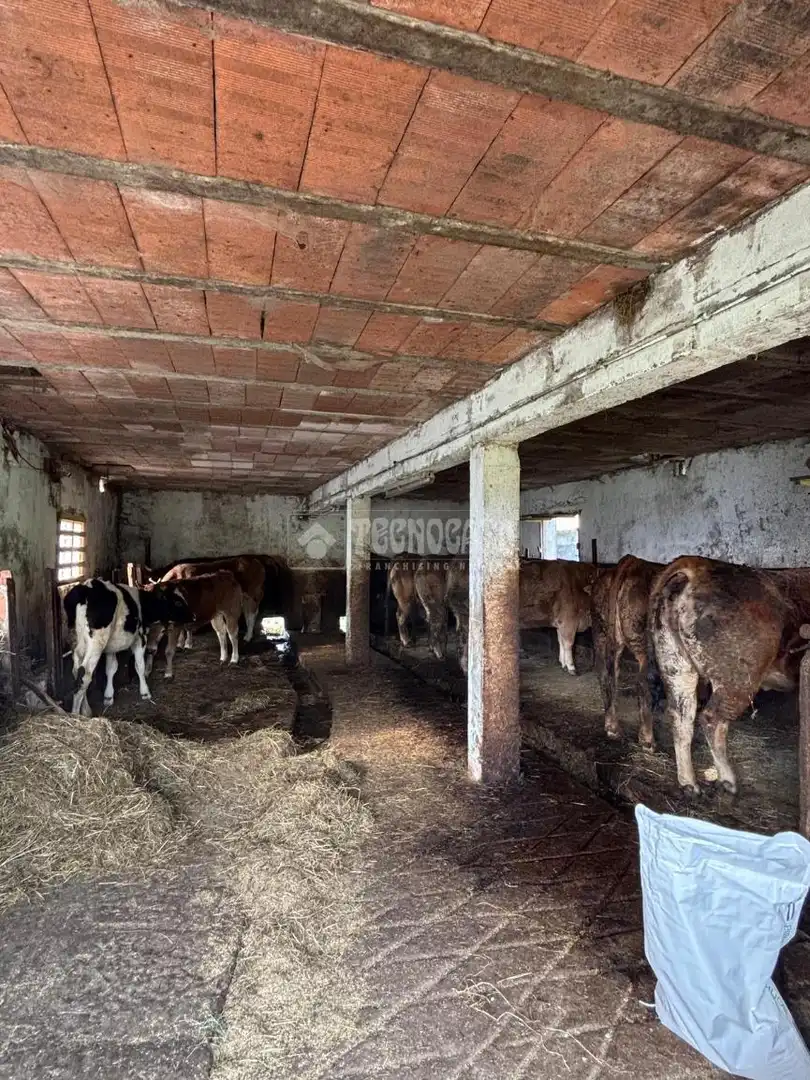 Vista exterior de Finca rústica en venta en Selaya
