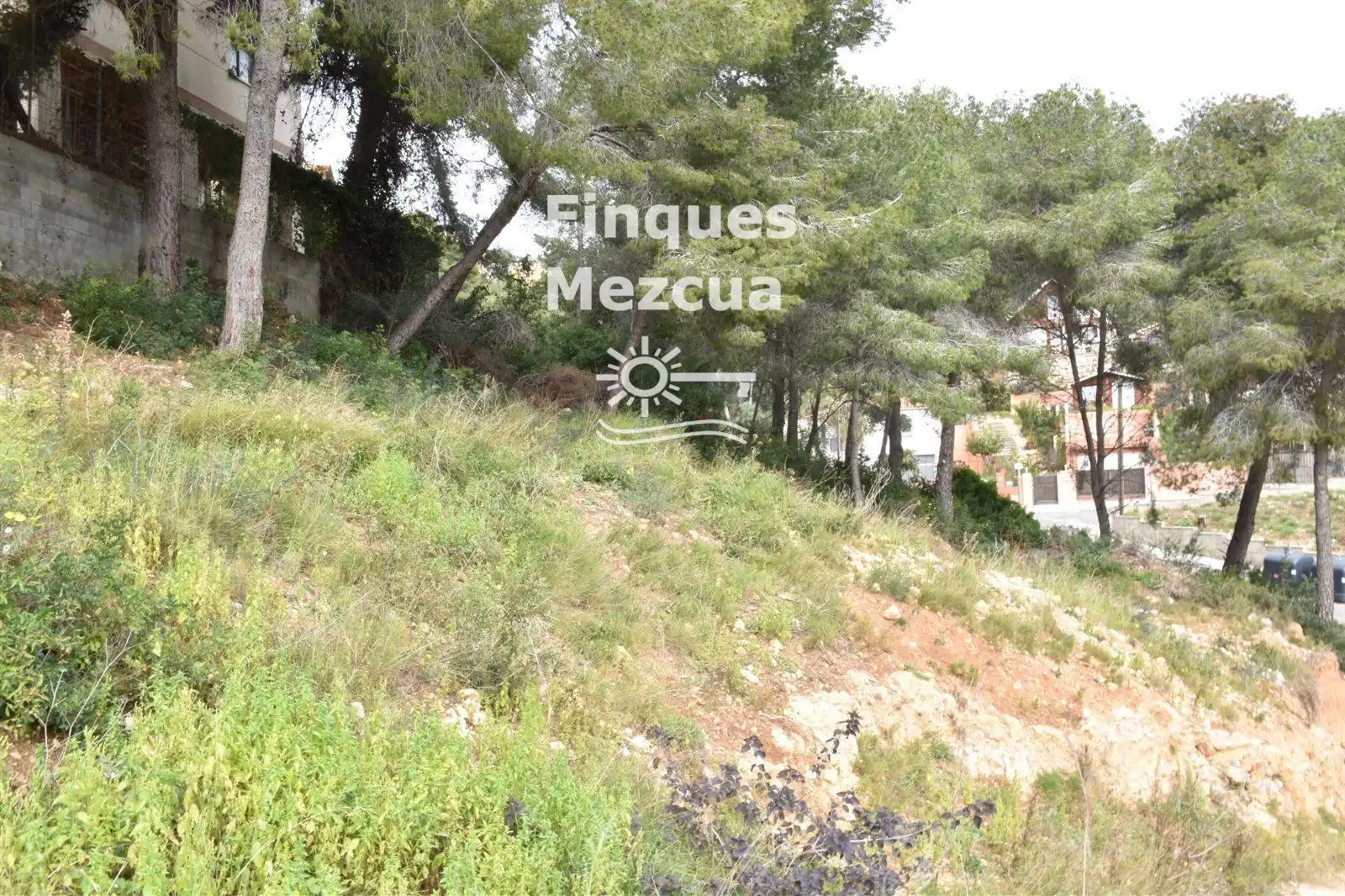 Rural land for sale in GLADIOL, imagen 3
