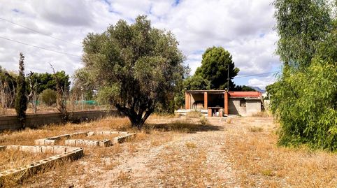 Foto 4 de Casa o xalet en venda a Carretera Alcoraya-urbs, Cañada del Fenollar, Alicante / Alacant