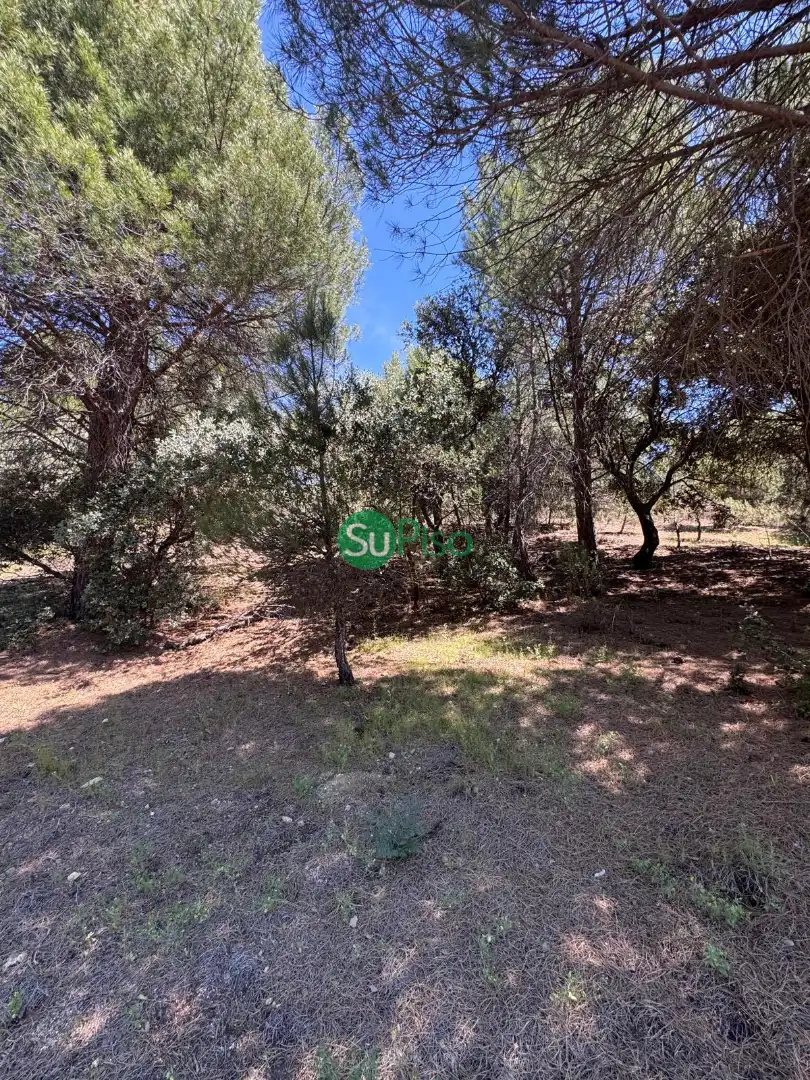 Casa o xalet en venda en San Martín de Valdeiglesias amb Jardí privat