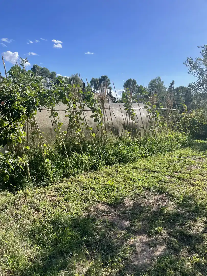 Casa o xalet en venda en Castellnou de Bages amb Piscina i Balcó