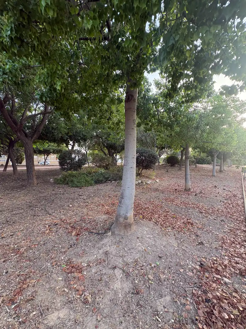 Adossat amb jardí en venda a Cartagena ciudad, imagen 50
