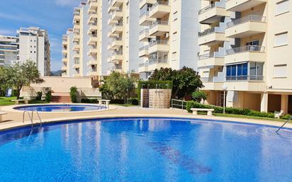 Piscina de Apartament en venda en Gandia amb Terrassa, Moblat i Forn