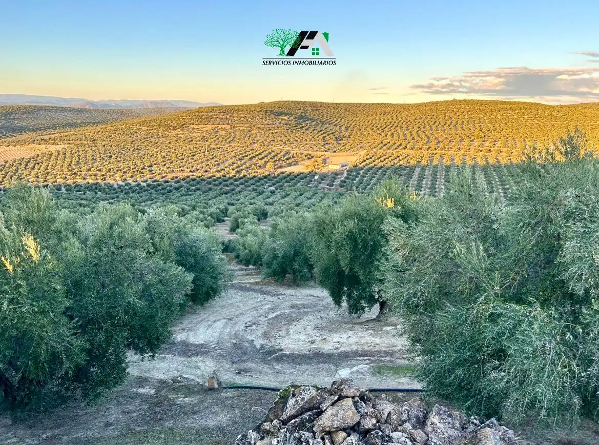 Terreno en venta en Ibros
