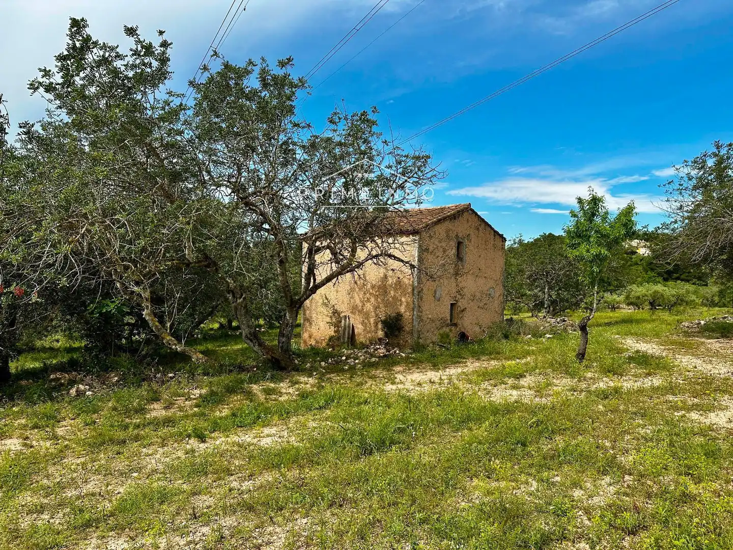 Terreno rústico en venta en Tivissa, imagen 49