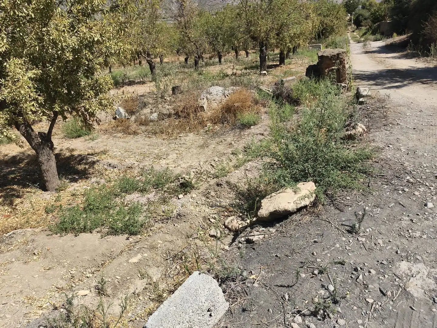 Rural land for sale in 2C55+9GC Cozvijar 0, imagen 28