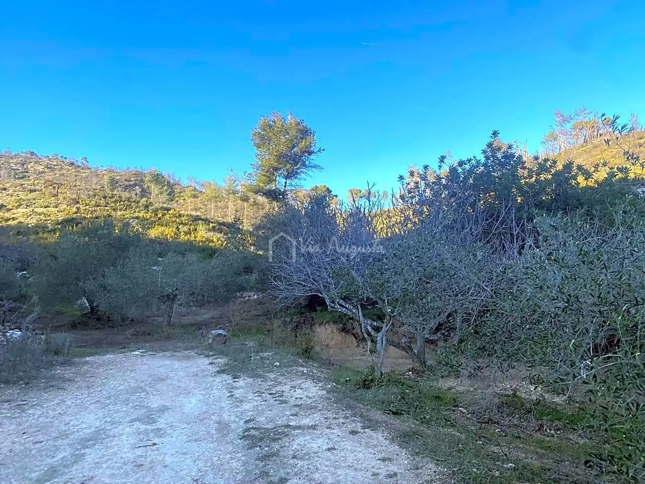 Terreno rustico in vendita a Perchels, imagen 13