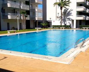 Swimming pool of Apartment to rent in Gandia  with Terrace, Furnished and Community pool