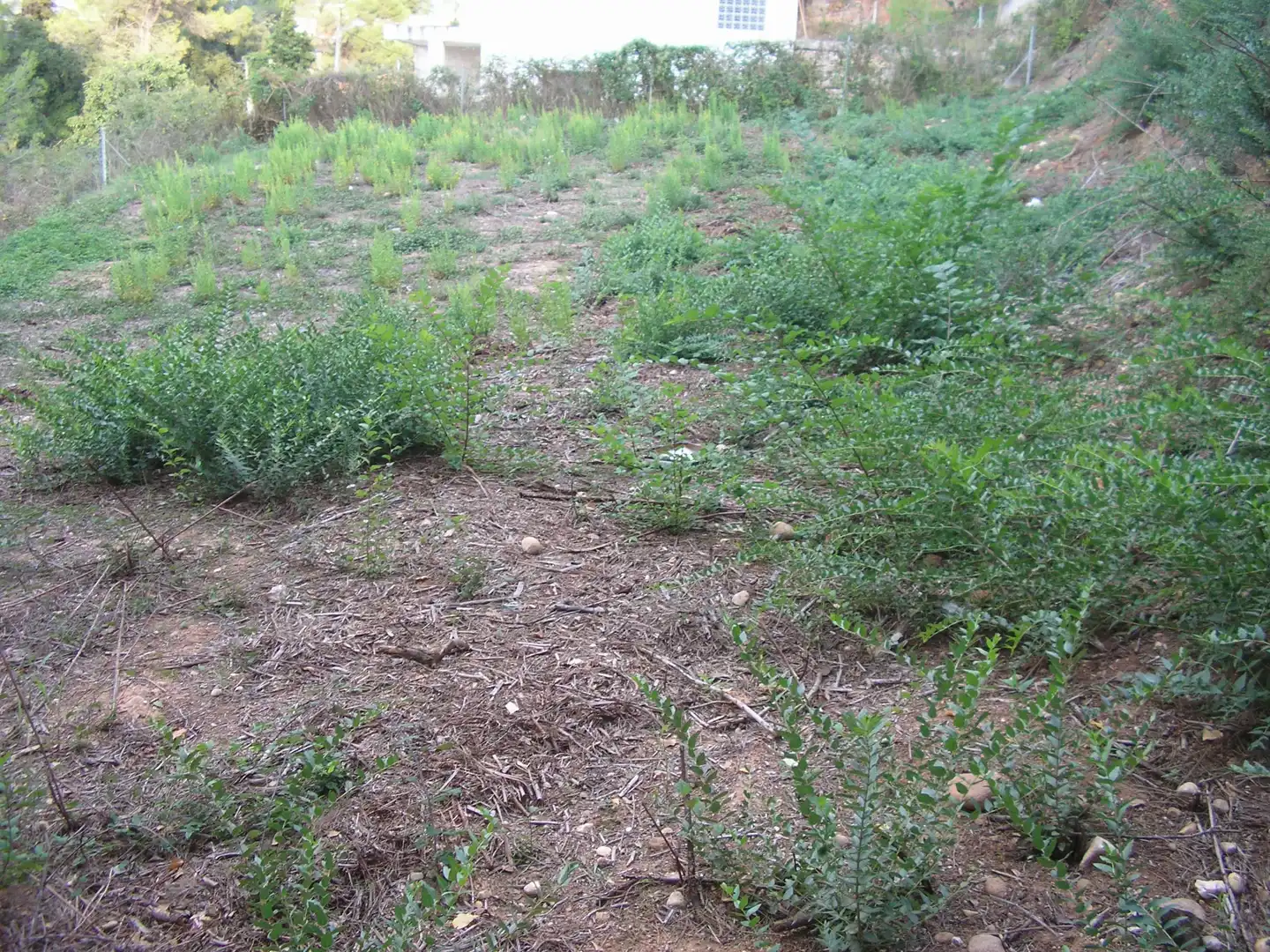 Terreno residencial en venta en Carrer Bonavista 22, imagen 11
