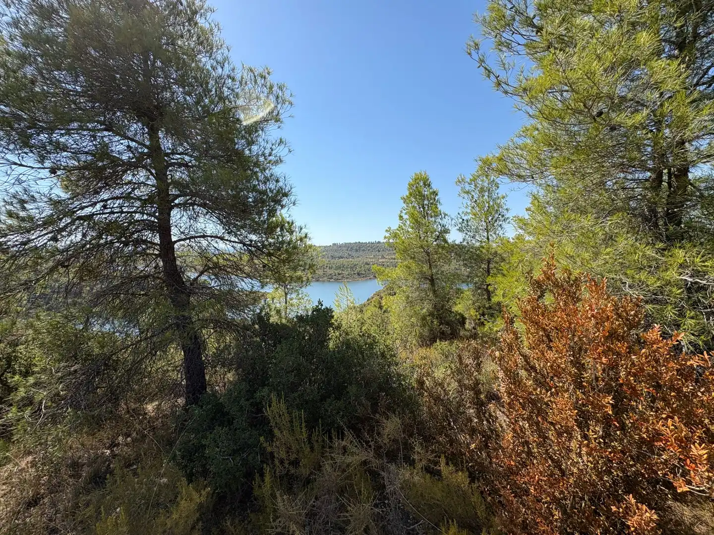 Terreno rustico in vendita a Cervià de Les Garrigues, imagen 26