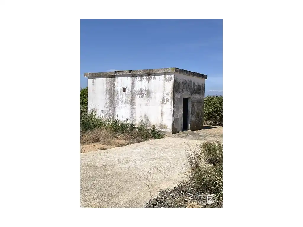 Maison rustique à vendre à Algemesí, imagen 7