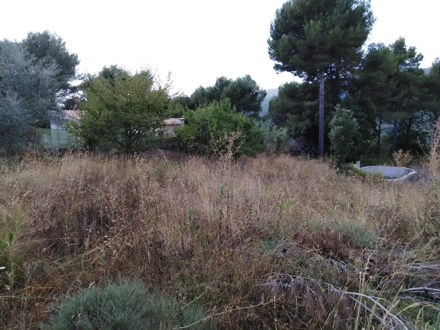 Terreno en venta en Pontils