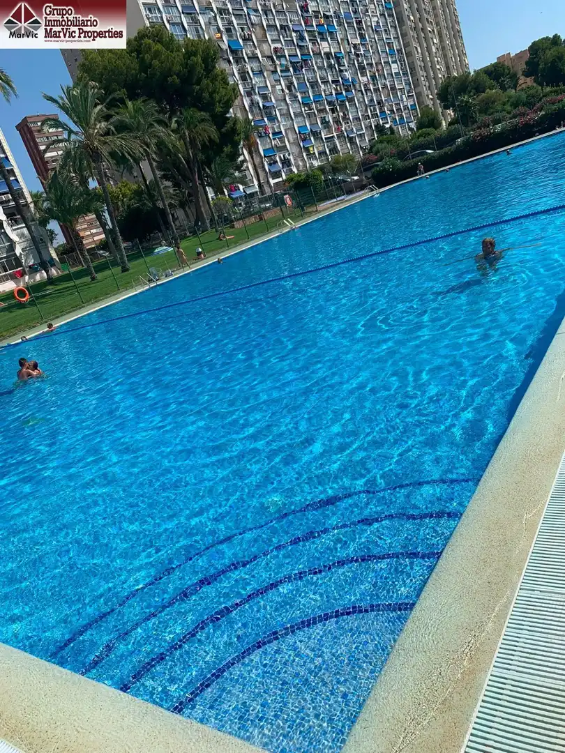 Piscina de Estudi en venda en Benidorm amb Jardí privat, Moblat i Piscina comunitària