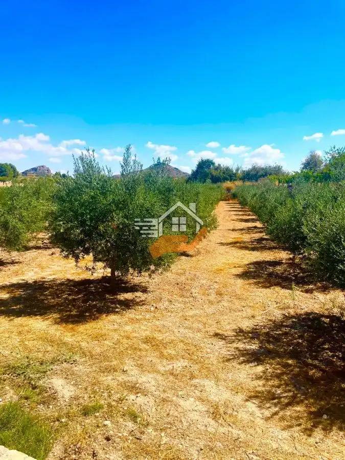 Country house for sale in Vélez-Rubio, imagen 2