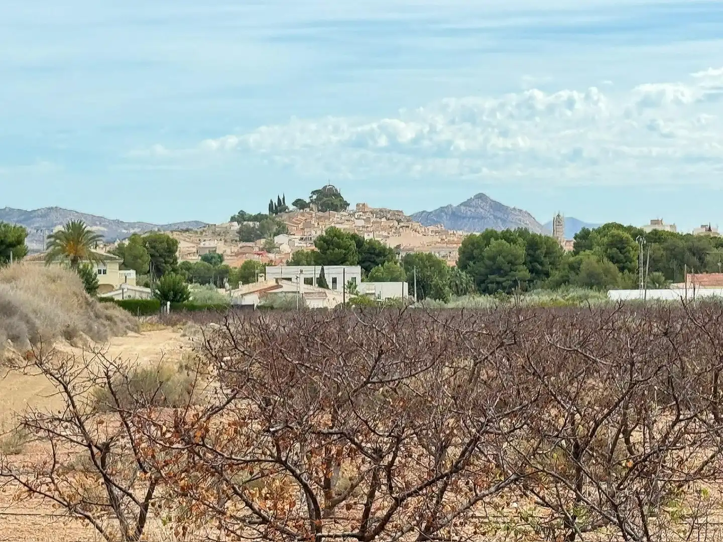 Residential land for sale in Monóvar  / Monòver