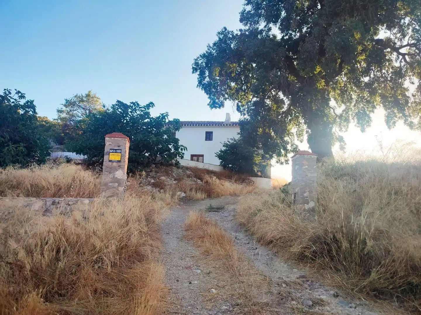 Terrains et parcelles à vendre à Pedanías Centro, imagen 2