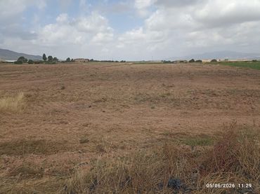 Terreno rustico in vendita a Totana